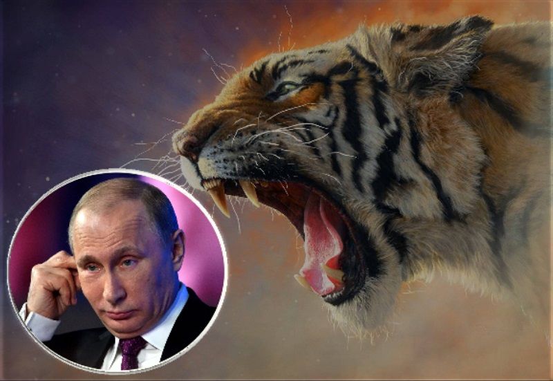 Визит Владимира Путина в Ташкент и политика России в Центральной Азии