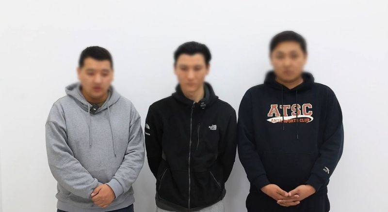 Блогеры высмеяли кыргызский язык в вирусном видео