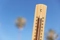 Без воды при +48: СМИ сообщили о массовых смертях в туркменских колониях