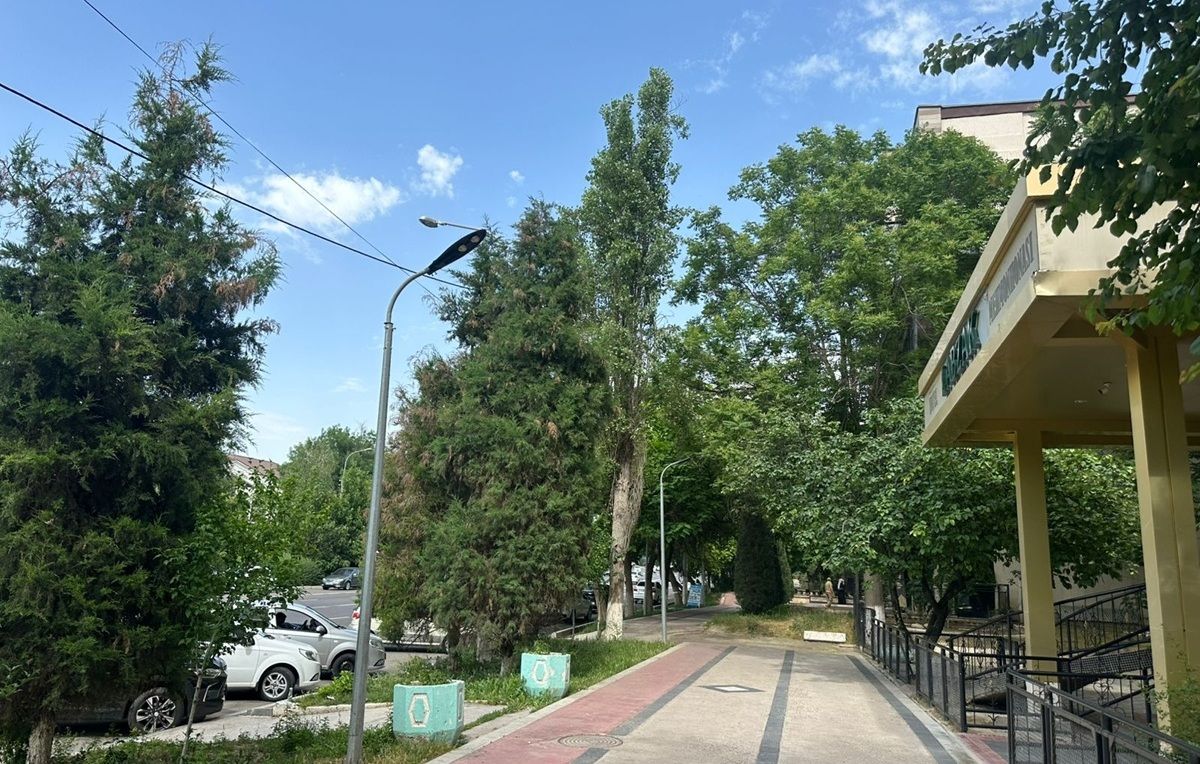 Улицы Ташкента
