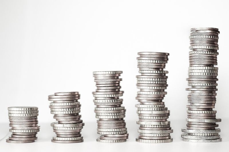 В Узбекистане экологи продали лес