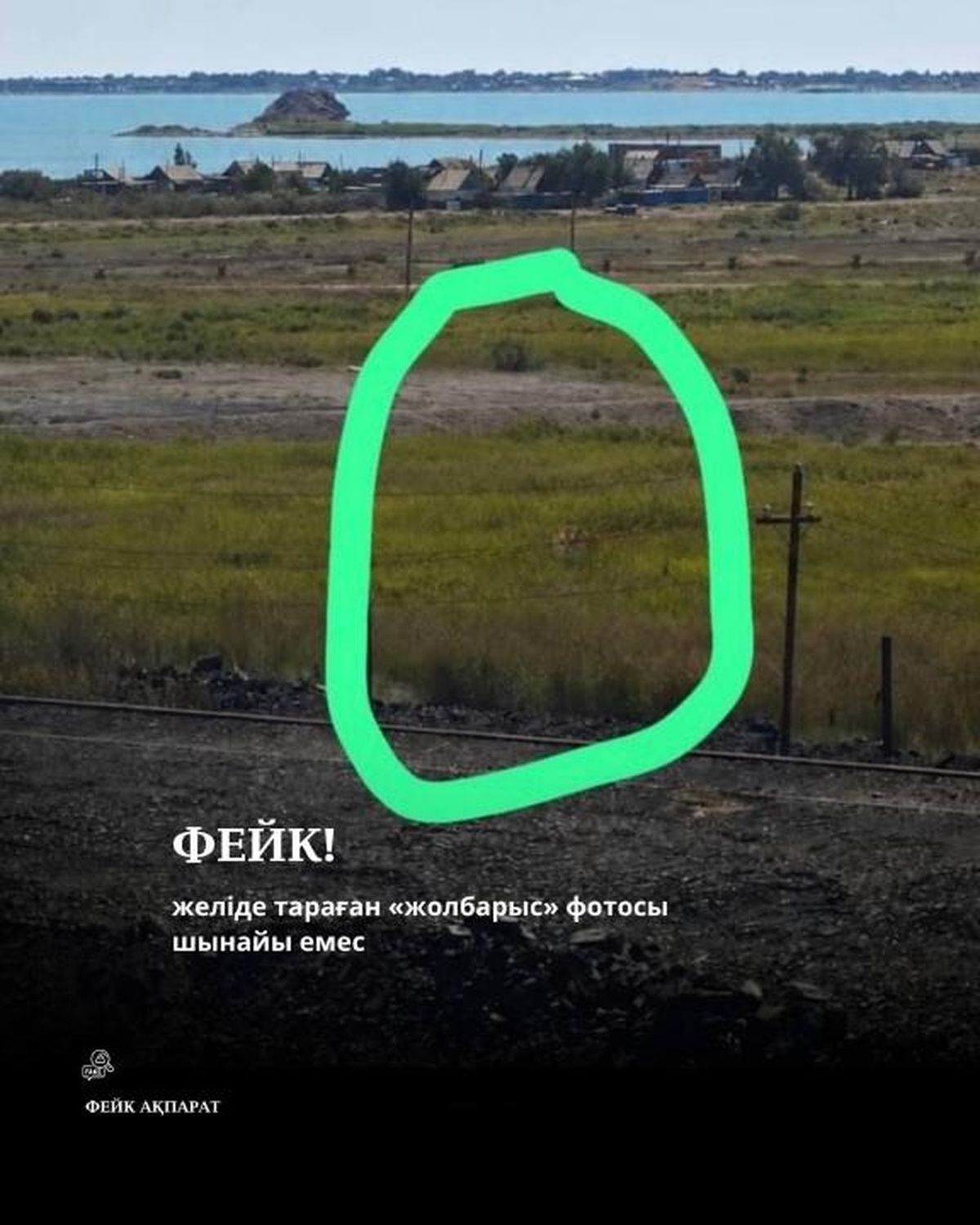 тигр