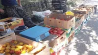 Штрафы за стихийную торговлю стали "кормушкой" для полиции в Туркменистане